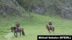 Конные прогулки в горах Алтая