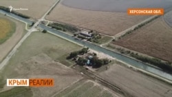 «Золотые времена»: как Крым становился аграрным регионом | Крым.Реалии ТВ (видео) «Золотые времена»: как Крым становился аграрным регионом | Крым.Реалии ТВ (видео)