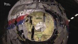 Дело МН-17 Дело МН-17