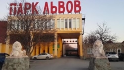За закритими воротами «Тайгану»: як зараз живе парк левів? (відео) За закритими воротами «Тайгану»: як зараз живе парк левів? (відео)