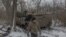 Танкист 68-й отдельной егерской бригады ВСУ рядом с танком "Леопард" 1А5. Донецкая область, недалеко от Покровска. 13 декабря 2024 года