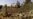 Pakistan Army Pounds Waziristan Targets