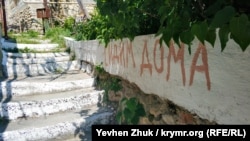 Сидим дома | Крымское фото дня