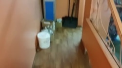 Медики Камчатки - о ситуации с ковид-19 (4) Медики Камчатки - о ситуации с ковид-19 (4)