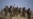 NATO 'Likely' Caused Pakistan Casualties