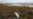 Russia's Norilsk Nickel Reports New Fuel Spill In Arctic
