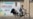 Kyrgyzstan: A Guide To The Parties Competing In The Parliamentary Elections