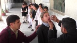 Pakistan Renews Campaign To Eradicate Polio Pakistan Renews Campaign To Eradicate Polio