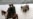 Tajik Law Opens Window For Young Afghan Drug Smugglers