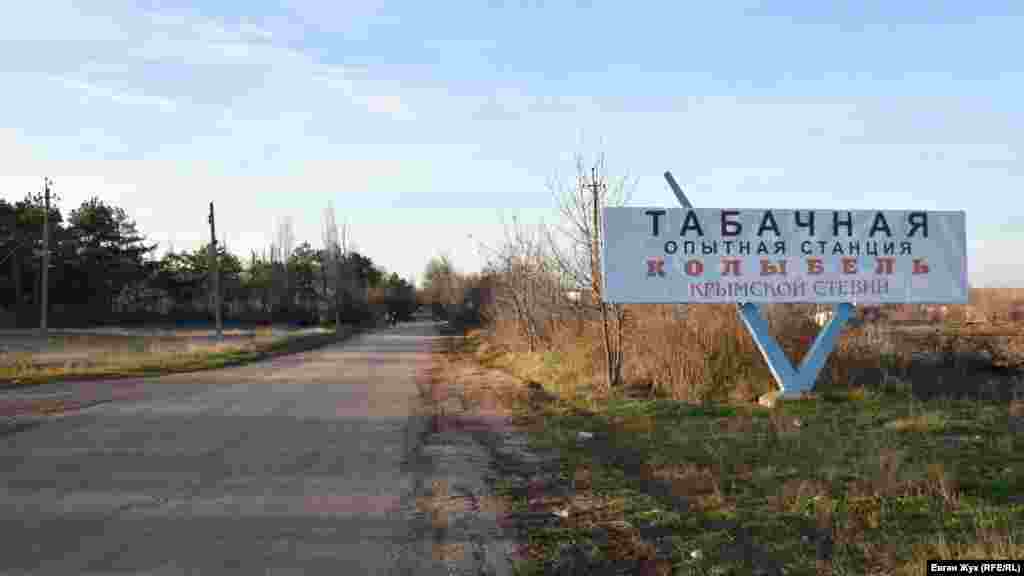 В Табачном действует крымская опытная станция табаководства. Она занимается селекцией и изучением свойств новых сортов, а также разрабатывает способы возделывания культур и сохранения уникальной коллекции из 1235 сортов табака  