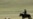 Mongolia Journal: Blood, Guts, And Vodka
