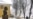 Belarusian Activist Faces Fine For Defacing Lenin Statue