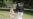 16x9 Image