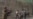 Beating Sparks Outcry Against Militia Commanders In Afghan Government