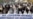 Pakistan: Judicial Crisis Adds To Pressure On President