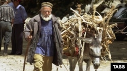 In a country where coal is prohibitively expensive and electricity rationed, many Tajiks use firewood to heat their homes in winter and this is having a devastating effect on Tajikistan's forests (file photo).