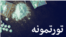 پاکستان کې د پخوا په نسبت د نشو استعمال زيات شوی خو د نشو د مخنيوی لپاره په حکومتي او ولسي کچ اقدامات هم روان دي.