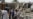 Al-Qaeda Claims Iraq Violence
