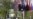 16x9 Image