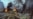 16x9 Image