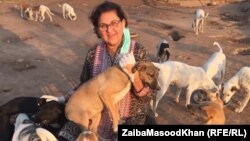 زېبا مسود خان
