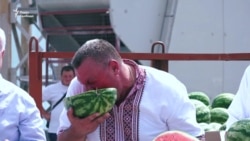 Конец путешествия. Баржа с арбузами приплыла в Киевскую область (видео) Конец путешествия. Баржа с арбузами приплыла в Киевскую область (видео)