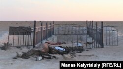 Аштан өлген жылқы. Маңғыстау облысы Ақшымырау ауылы. 14 шілде 2021 жыл.