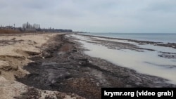 Бакальская коса, Крым, январь 2020 год