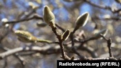 В обсерваторії зазначили, що від початку місяця кліматологи зафіксували вже 13 температурних рекордів