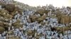 Muslims Begin Hajj Ascent