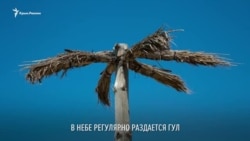 Шоу по-крымски: военные самолеты над пляжем в Прибрежном (видео) Шоу по-крымски: военные самолеты над пляжем в Прибрежном (видео)