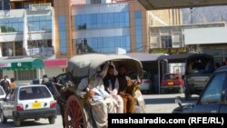 د کوټې ښار کې یو کوچوان په سورلو بار تانګه هڼي