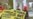 Protests For Jailed Greenpeace Activists