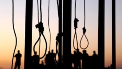 جزئیات اعدام سه نفر در زاهدان در گفتگو با شیراحمد شیرانی ناروئی جزئیات اعدام سه نفر در زاهدان در گفتگو با شیراحمد شیرانی ناروئی