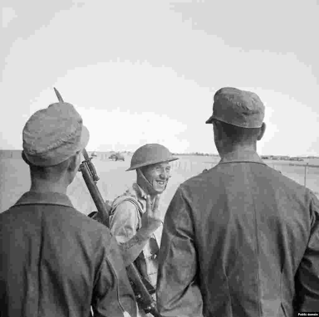 Британский солдат показывает знак победы пленным немецким солдатам. Премьер-министр Великобритании Уинстон Черчилль отпраздновал победу в парламенте. В своей речи перед законодателями он сказал: "Благодаря прекрасной системе камуфляжа мы достигли полного тактического превосходства в пустыне". 