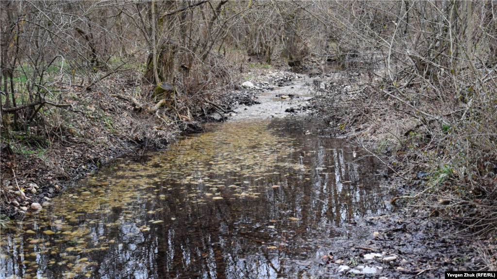 У річці Арманка, що впадає в Чорноріченське водосховище між селами Павлівка і Підгірне, з'явилася вода