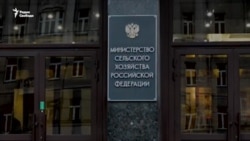 В России фермерам не удалось встретиться с Владимиром Путиным (видео) В России фермерам не удалось встретиться с Владимиром Путиным (видео)