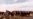 Iraq: Marshlands Drained By Saddam Shown To Be Recovering At Rapid Rate