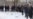 Парк имени Ленинского комсомола спасен