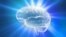 Believer’s Brains.
