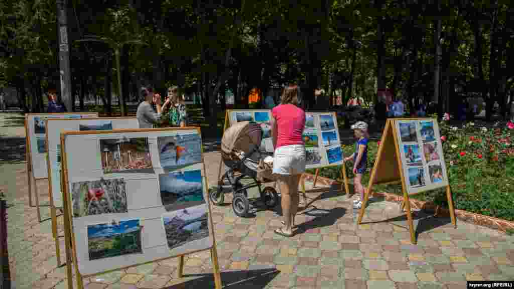 На стендах – десятки фото. На всех изображен Симферополь