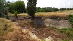 Рисовое прошлое крымского села Ишунь (видео) Рисовое прошлое крымского села Ишунь (видео)