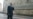 Cartoonist Arrested In Vienna Over Putin Poster