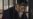 Majlis Podcast: The Death Of Azimjan Askarov And The Fates Of Other Political Prisoners In Central Asia