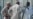 U.S. Rejects Amnesty Rights Allegations