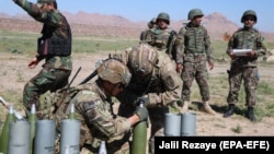 Совместные учения военнослужащих США и Афганистана в Герате, май 2019 года