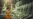 16x9 Image