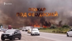 Юго-восточный Крым в дыму: снова горит камыш под Феодосией (видео) Юго-восточный Крым в дыму: снова горит камыш под Феодосией (видео)