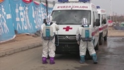 Последствия запрета въезда из Китая Последствия запрета въезда из Китая