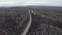 Пожары в Чернобыльской зоне – трава все еще тлеет. Видео с места событий (видео) Пожары в Чернобыльской зоне – трава все еще тлеет. Видео с места событий (видео)